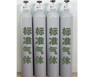 駐馬店標準氣體廠家